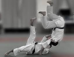 Image result for Basingstoke Aiuchi jiu Jitsu Club