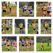 Image result for Newport Harriers Athletic Club