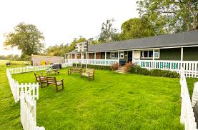 Image result for Basingstoke Scrabble Club