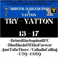 Image result for Yatton R F C