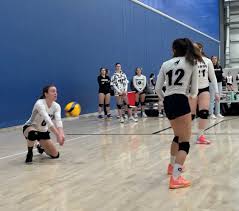 Image result for Rhinos Volleyball Club