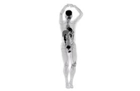 Image result for body scanner