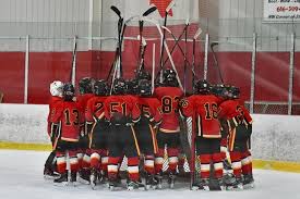 Image result for Northern Hockey Club