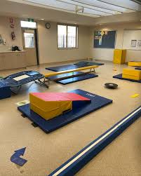 Image result for Croydon School Of Gymnastics