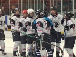 Image result for Haringey Greyhounds Ice Hockey Club