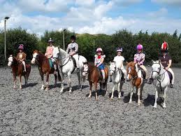 Image result for Bookham Riding School