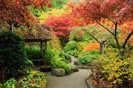 Image result for japanese gardens...