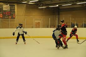Image result for Team-Tigers Roller Hockey Club