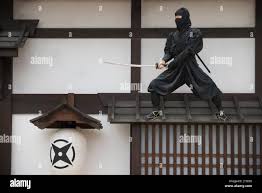 Image result for Central London Ninjutsu