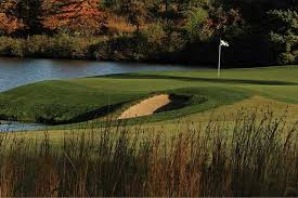 Image result for Flint Golf Club