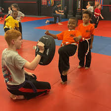 Image result for Aj Independent Martial Arts