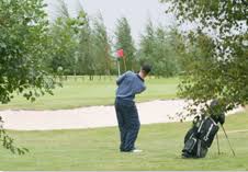 Image result for Boston West Golf Club