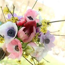 Image result for Anemonenarten