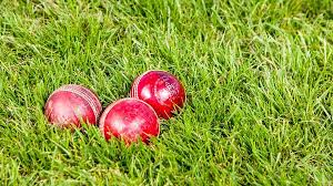 Image result for Follifoot Cc