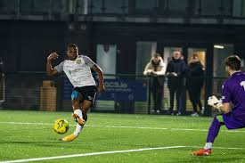 Image result for Basingstoke Sc