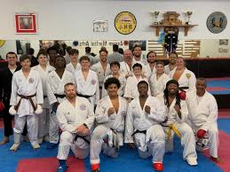 Image result for Newport Kyokushin Karate Club