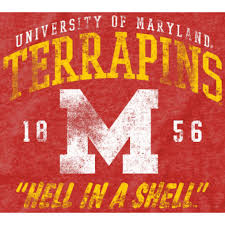 Image result for shell hell