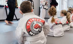 Image result for TRINITY KARATE ACADEMY