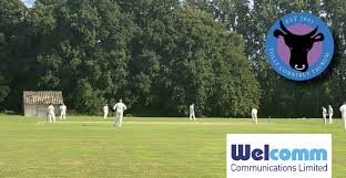 Image result for Tendring Cricket Club