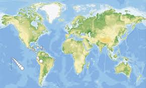 Attēlu rezultāti vaicājumam “Paradiacheopsis rigida spores”