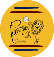 Image result for Pinehurst Netball Club