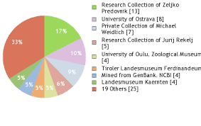 Attēlu rezultāti vaicājumam “Proutia betulina”