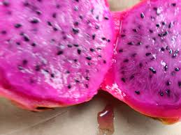 Attēlu rezultāti vaicājumam “Rosa subcanina fruit”