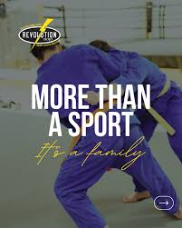 Image result for Revolution Dojo