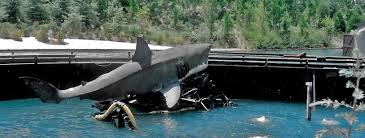 Image result for The Herne Bay & Whitstable Jetski & Watercraft Society (J A W S )