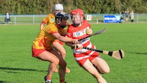 Image result for Green Isle Camogie Club - Players Wanted!
