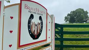 Image result for Braveheart Fencing
