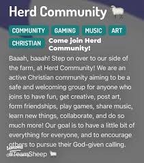 Image result for Teamsheep