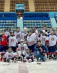 Image result for Hersham Hockey Club