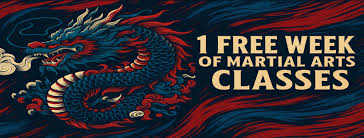 Image result for Aj Independent Martial Arts