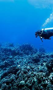 Image result for Harlow Sub-Aqua Club