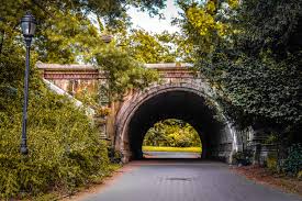 Image result for Prospect Park Beginner Jogging Sessions