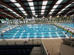 Image result for Crawley Swimming Club