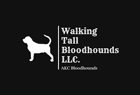 Image result for Carlisle BloodHounds