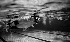 Image result for Stirling University Underwater Hockey Club