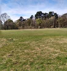 Image result for Drumpellier Cricket Club