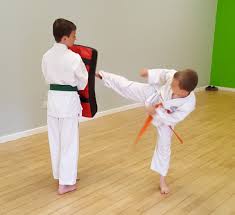 Image result for Devonport Shotokan Karate Club