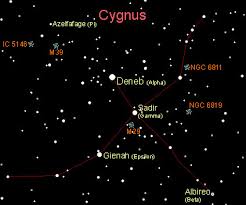 Attēlu rezultāti vaicājumam “Cygnus”