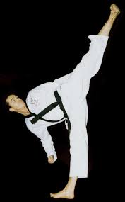 Image result for Fighting Arts Organisation of Great Britain