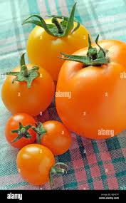 Afbeeldingsresultaat voor caro rich tomato