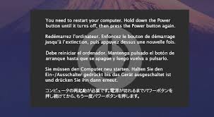 Image result for kernel panic snow leopard