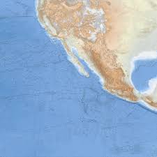 Image result for Leucopleurus acutus