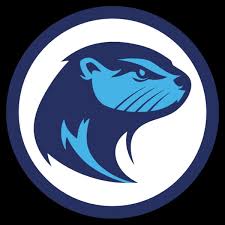 Image result for Llandeilo Rugby Football Club