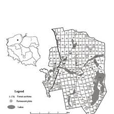 Attēlu rezultāti vaicājumam “Stemonitopsis amoena spores”