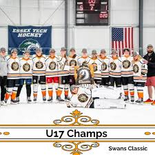 Image result for Swan`s Hockey Club