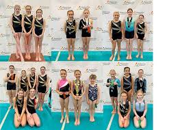 Image result for North Devon Display Gymnastics Club
